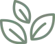 logo-icon-color